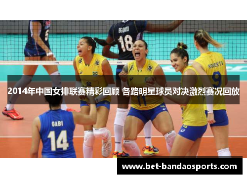 2014年中国女排联赛精彩回顾 各路明星球员对决激烈赛况回放